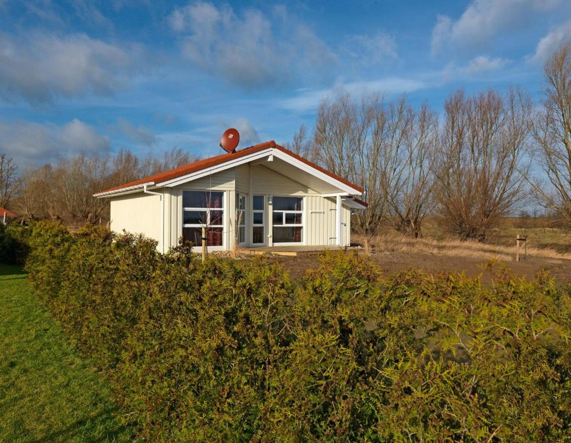 Daenische Ferienhaeuser Am Salzhaff Haus Vogelparadies Insel Poel Buitenkant foto